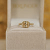 Custom East West Champagne Solitaire